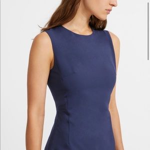 Theory Fitted Dress (4)